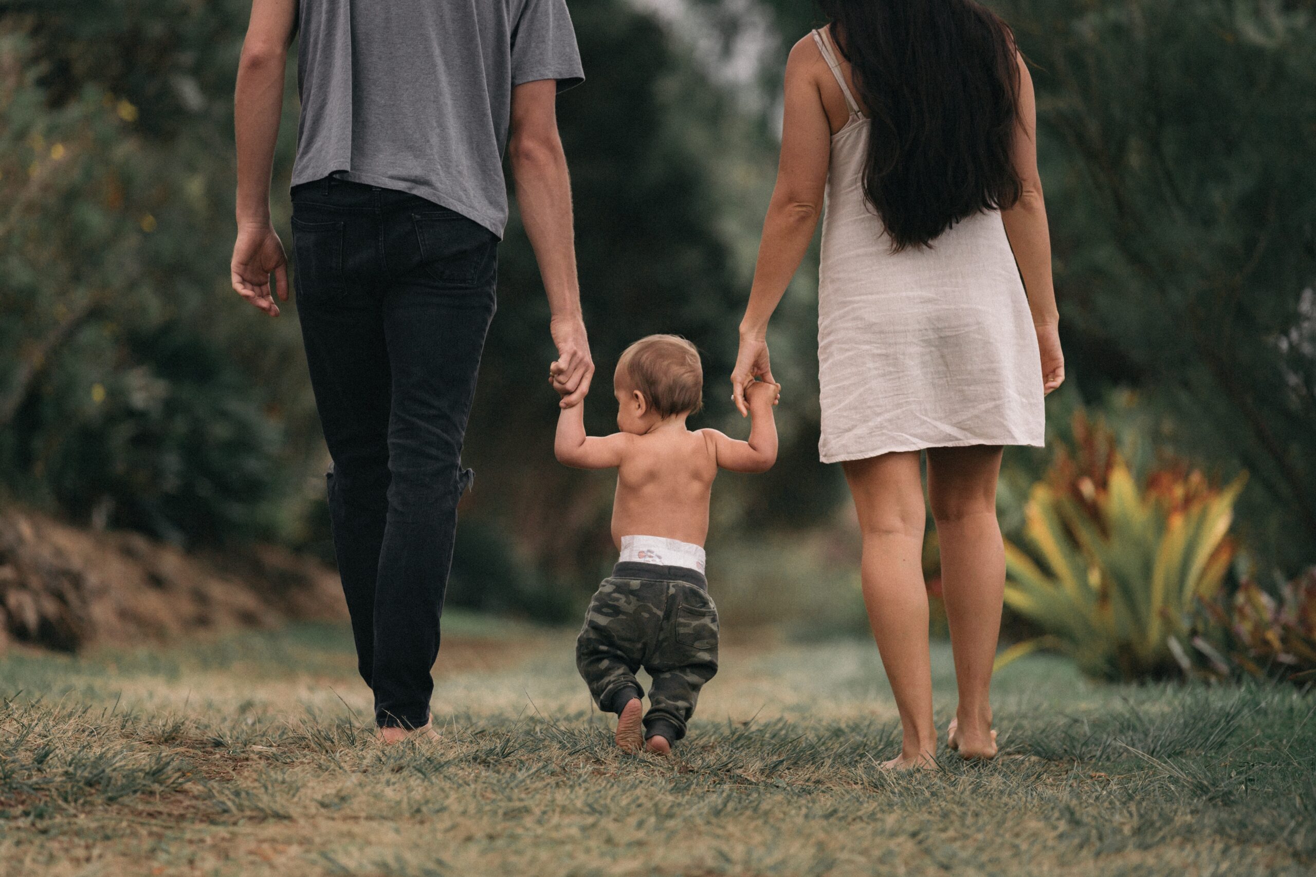 jakob-owens-M0M-FR2iedk-unsplash jakob-owens-M0M-FR2iedk-unsplash